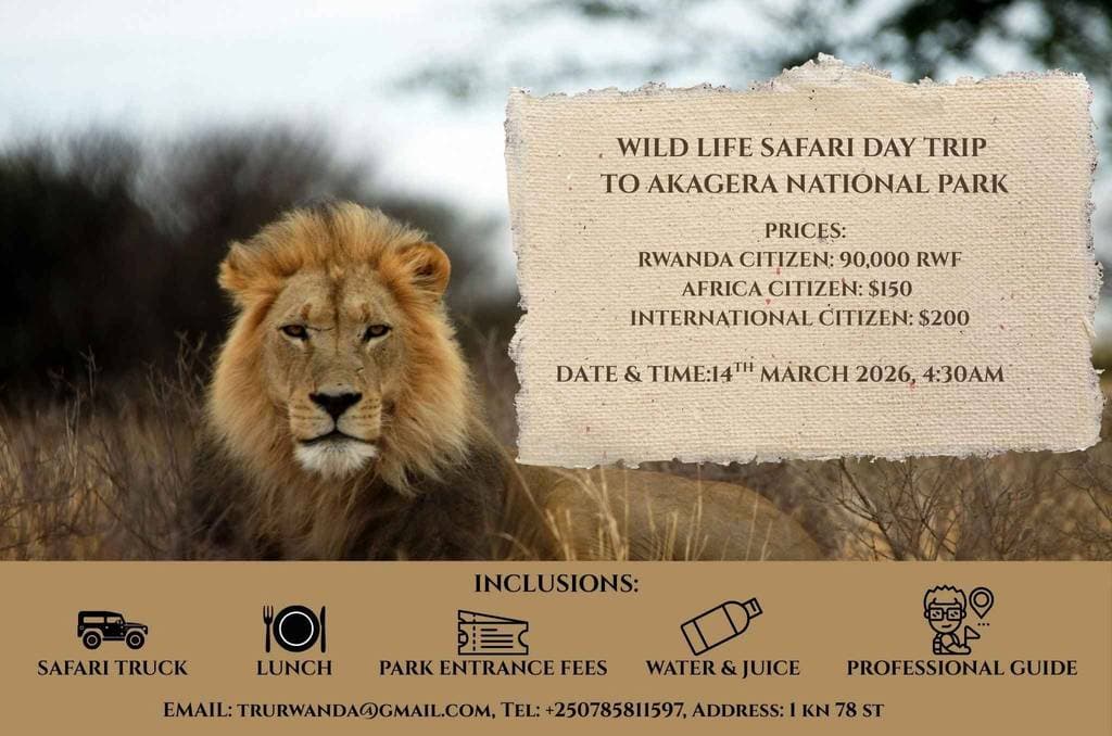 Akagera National Park – Full-Day Group Safari.